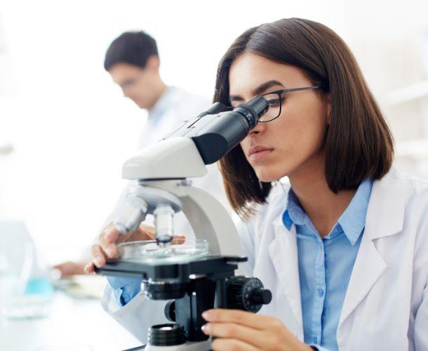 Forschung Zucker bei Tumor Forschung Zucker bei Tumor